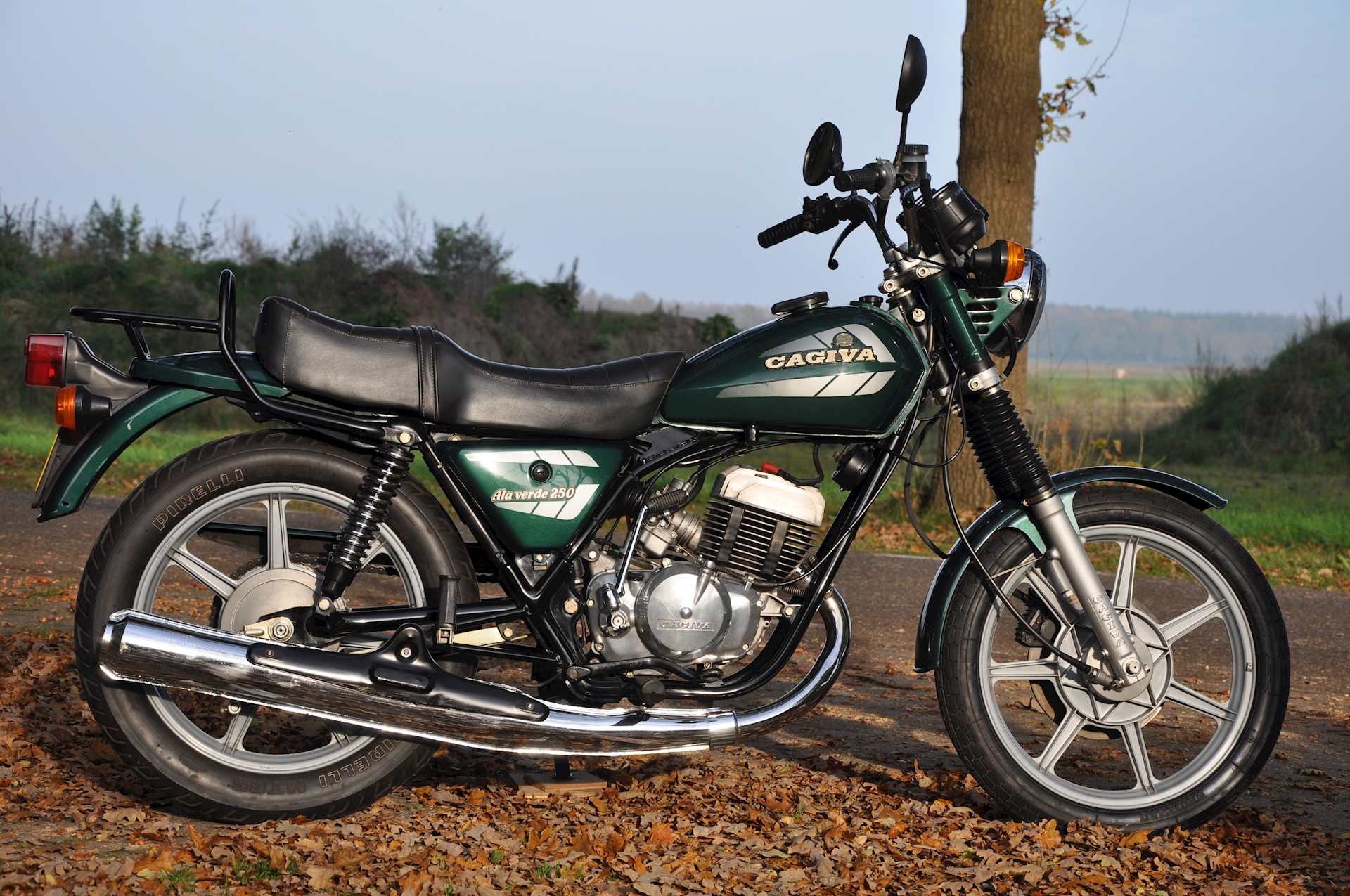 Cagiva 250 - 02.JPG