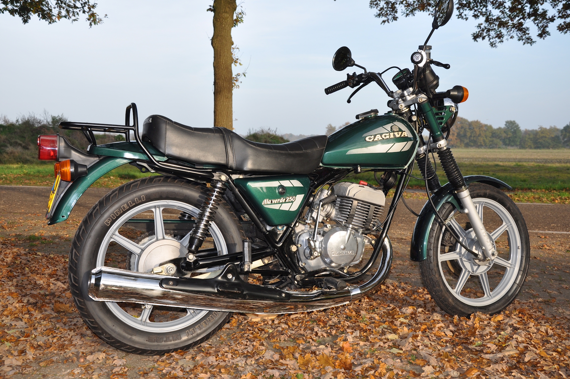 Cagiva 250 - 04.JPG