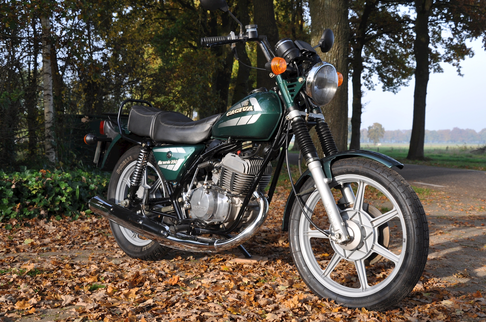 Cagiva 250 - 05.JPG