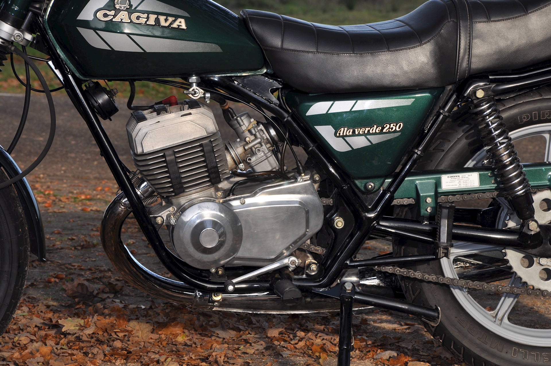 Cagiva 250 - 11.JPG