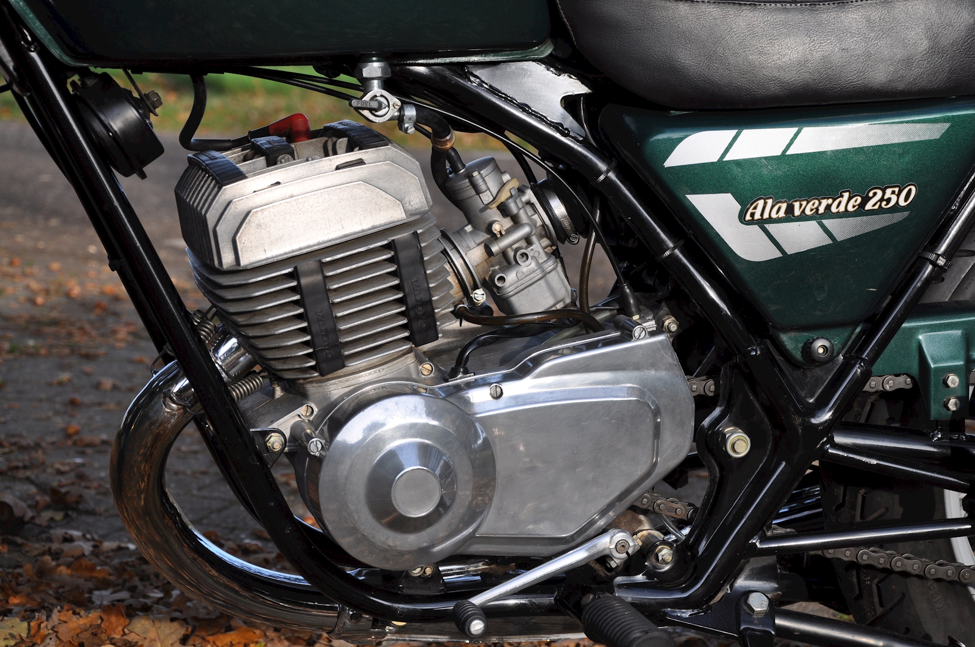 Cagiva 250 - 14.JPG