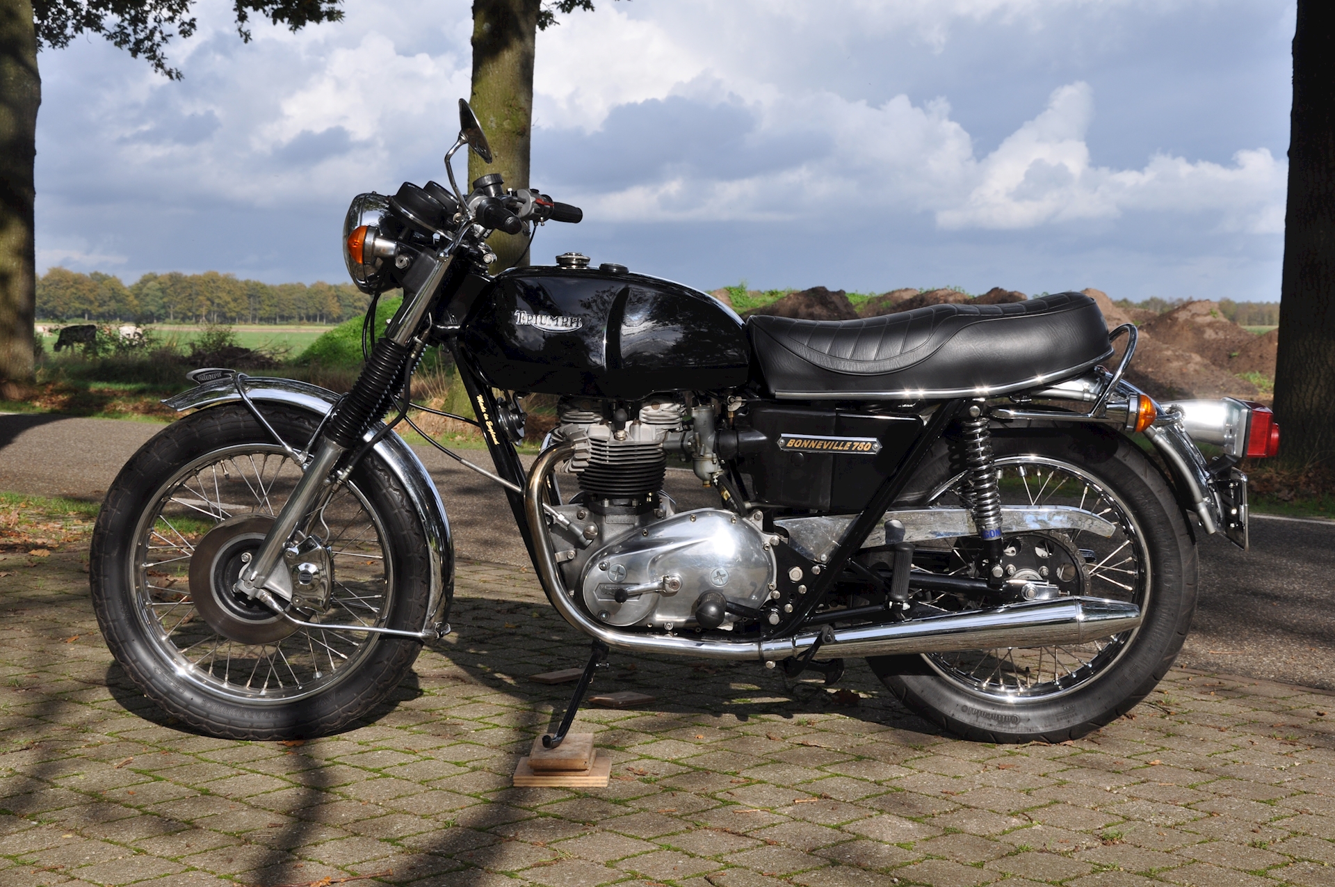 Triumph-Bonneville-T140V-01.jpg