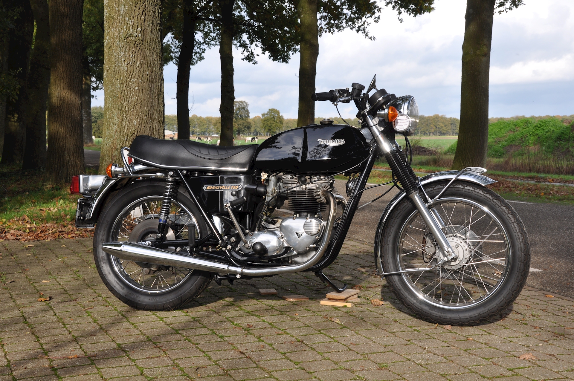 Triumph-Bonneville-T140V-02.jpg