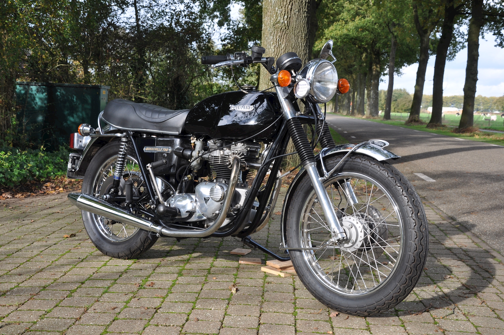 Triumph-Bonneville-T140V-03.JPG