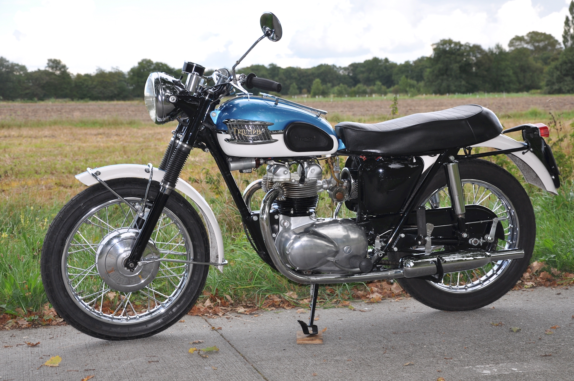 Triumph-Tiger-100-01.jpg