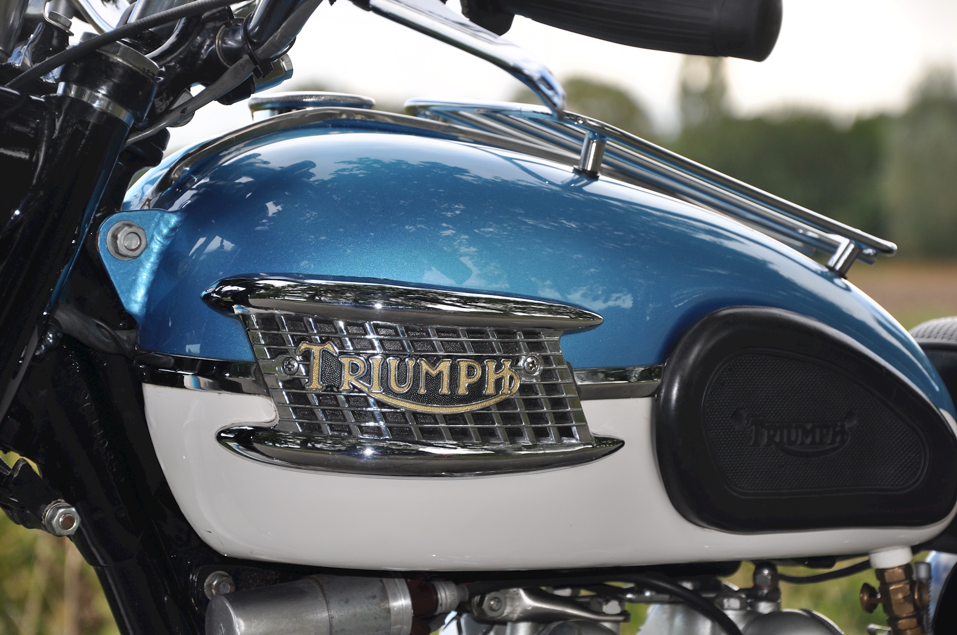 Triumph-Tiger-100-03.jpg (1)