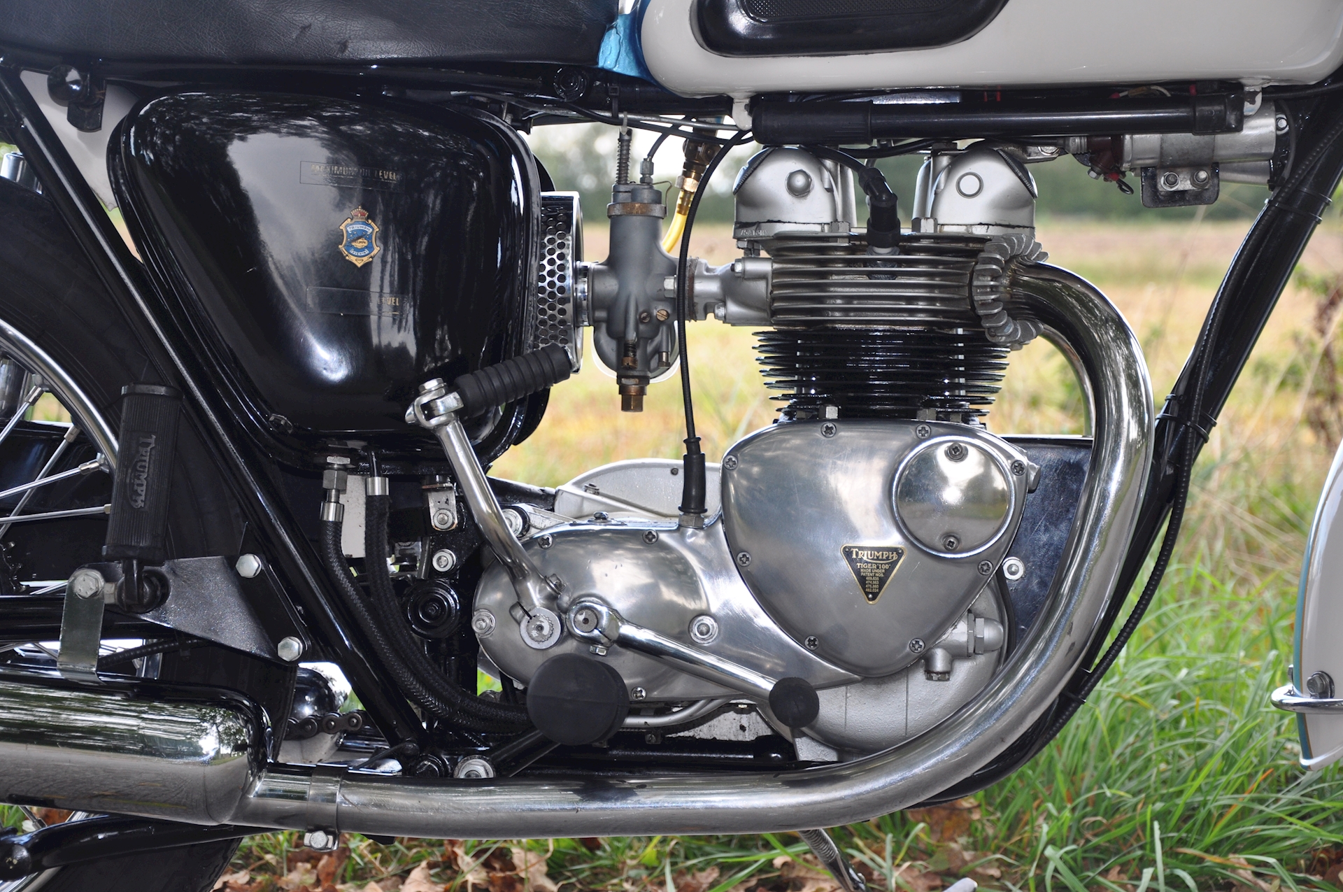 Triumph-Tiger-100-04.jpg (1)