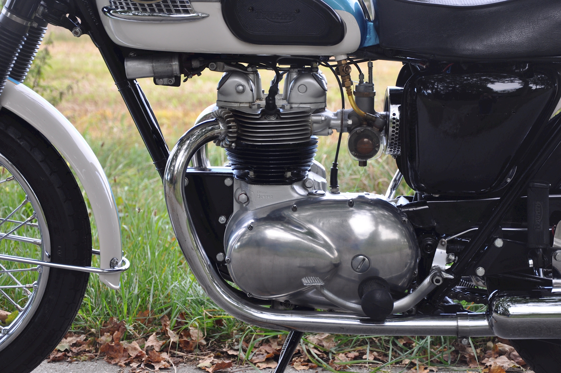 Triumph-Tiger-100-06.jpg (1)