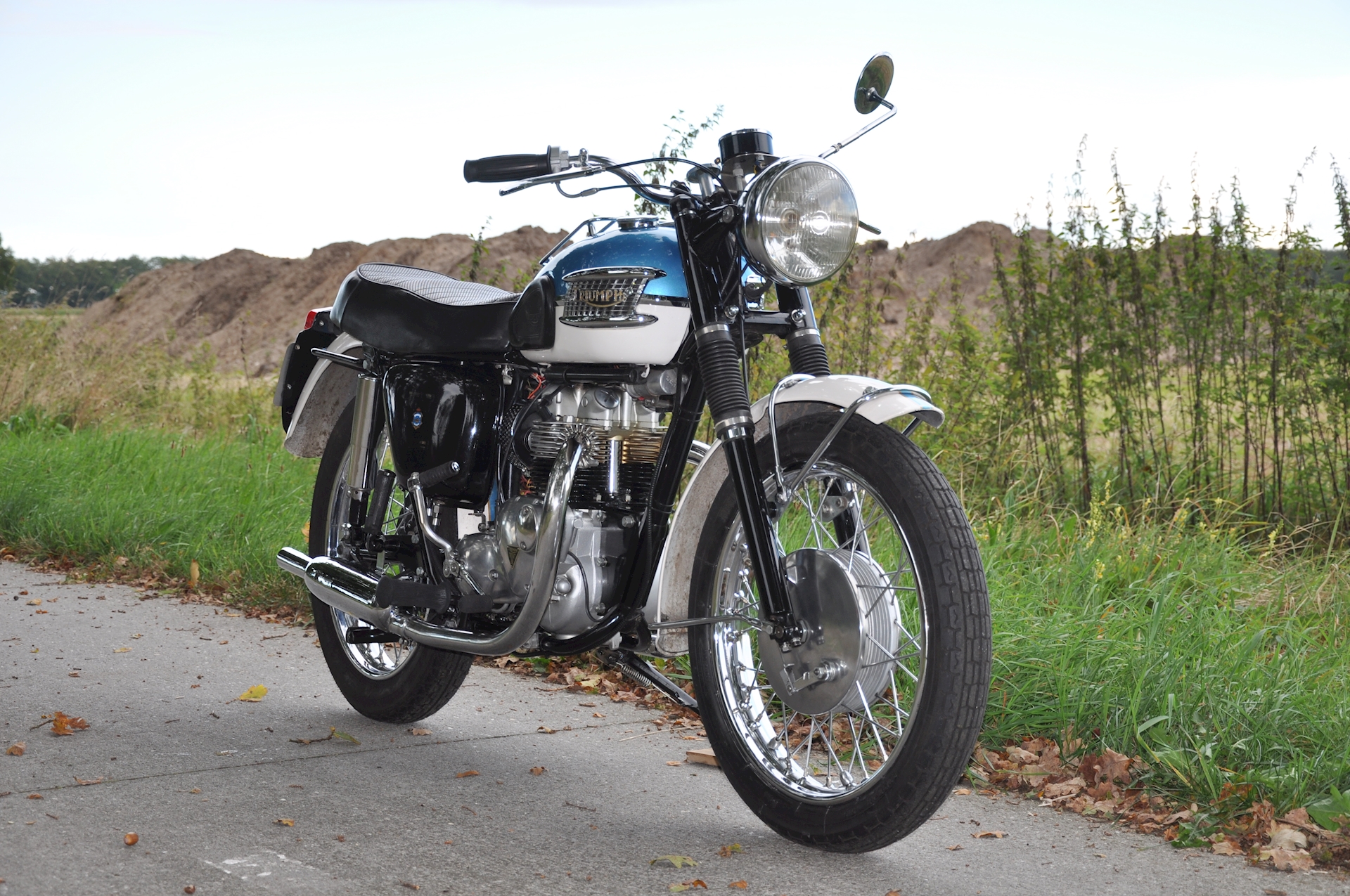 Triumph-Tiger-100-08.jpg (1)
