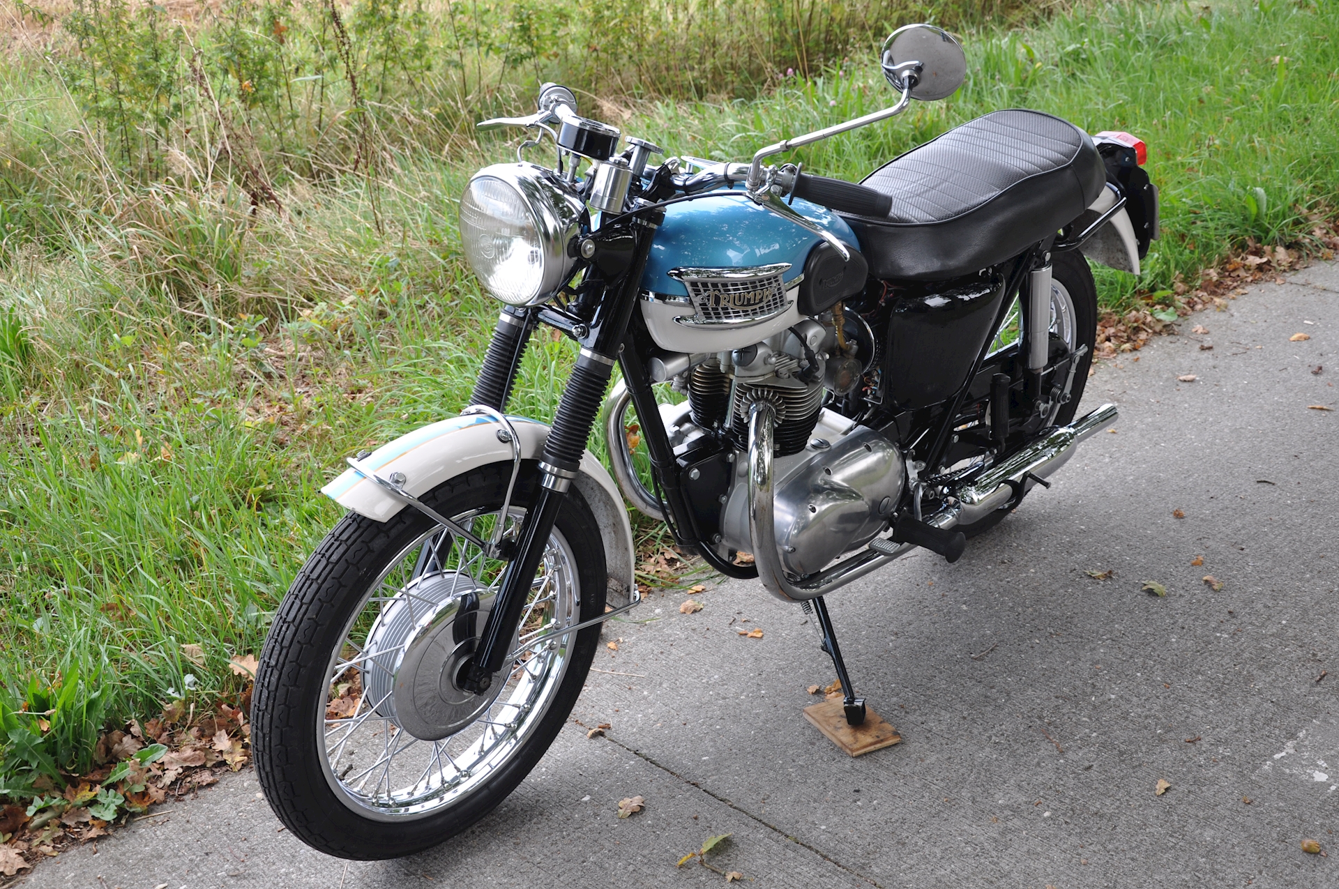 Triumph-Tiger-100-09.jpg (1)