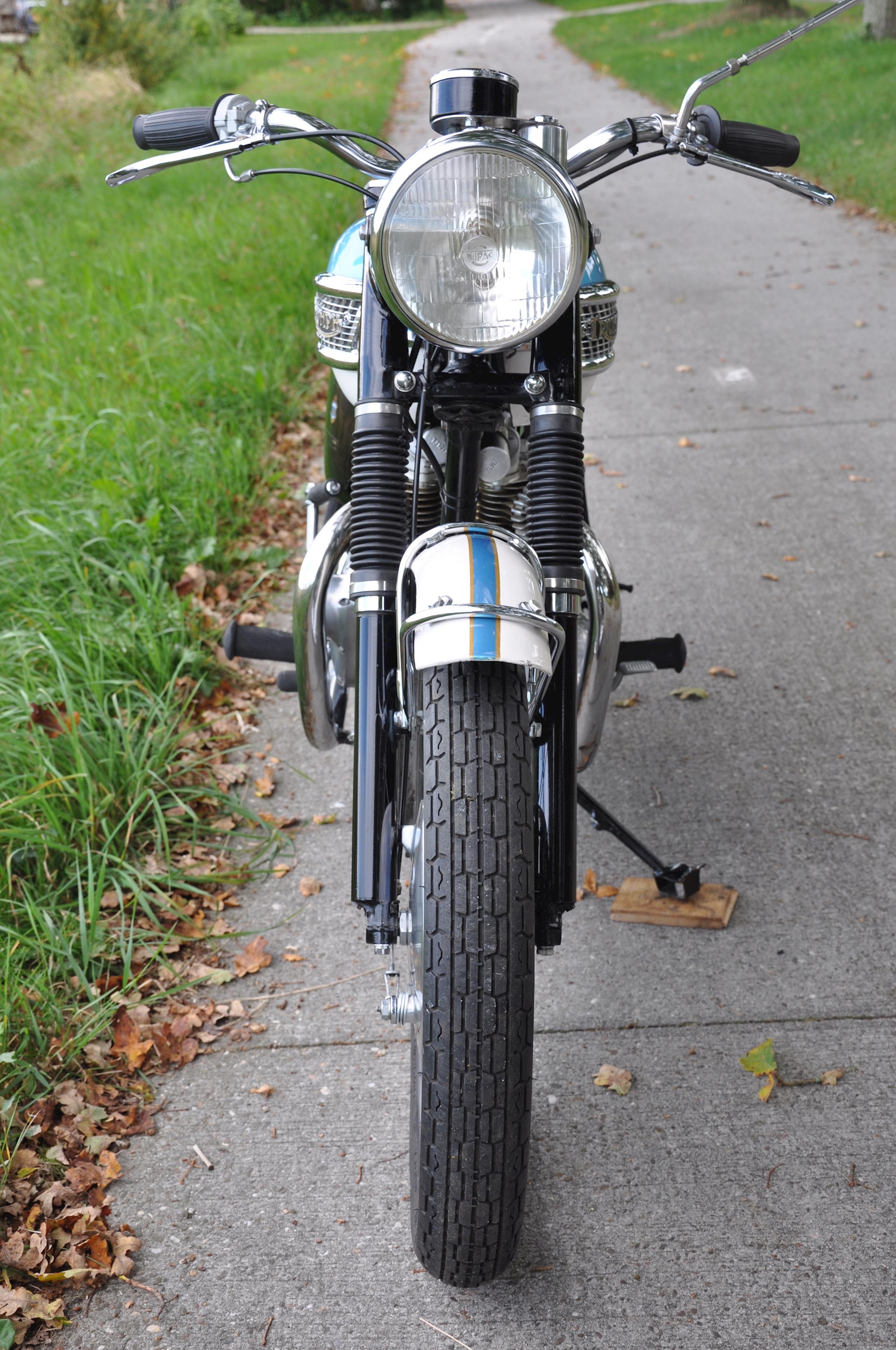 Triumph-Tiger-100-10.jpg