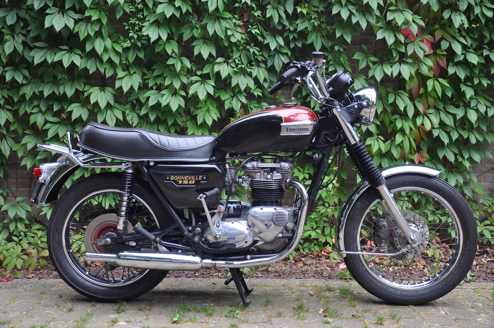 Triumph Bonneville 750 1980 - 02.jpg