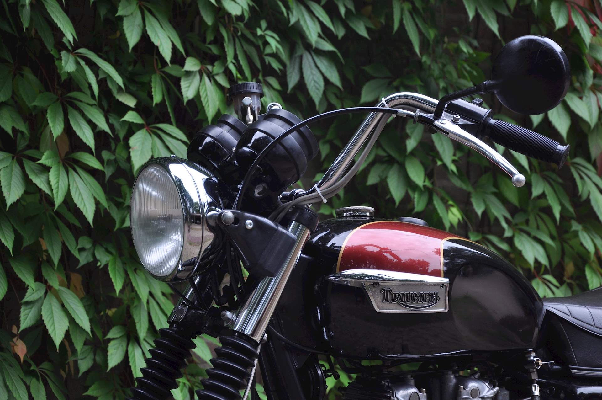 Triumph Bonneville 750 1980 - 03.jpg