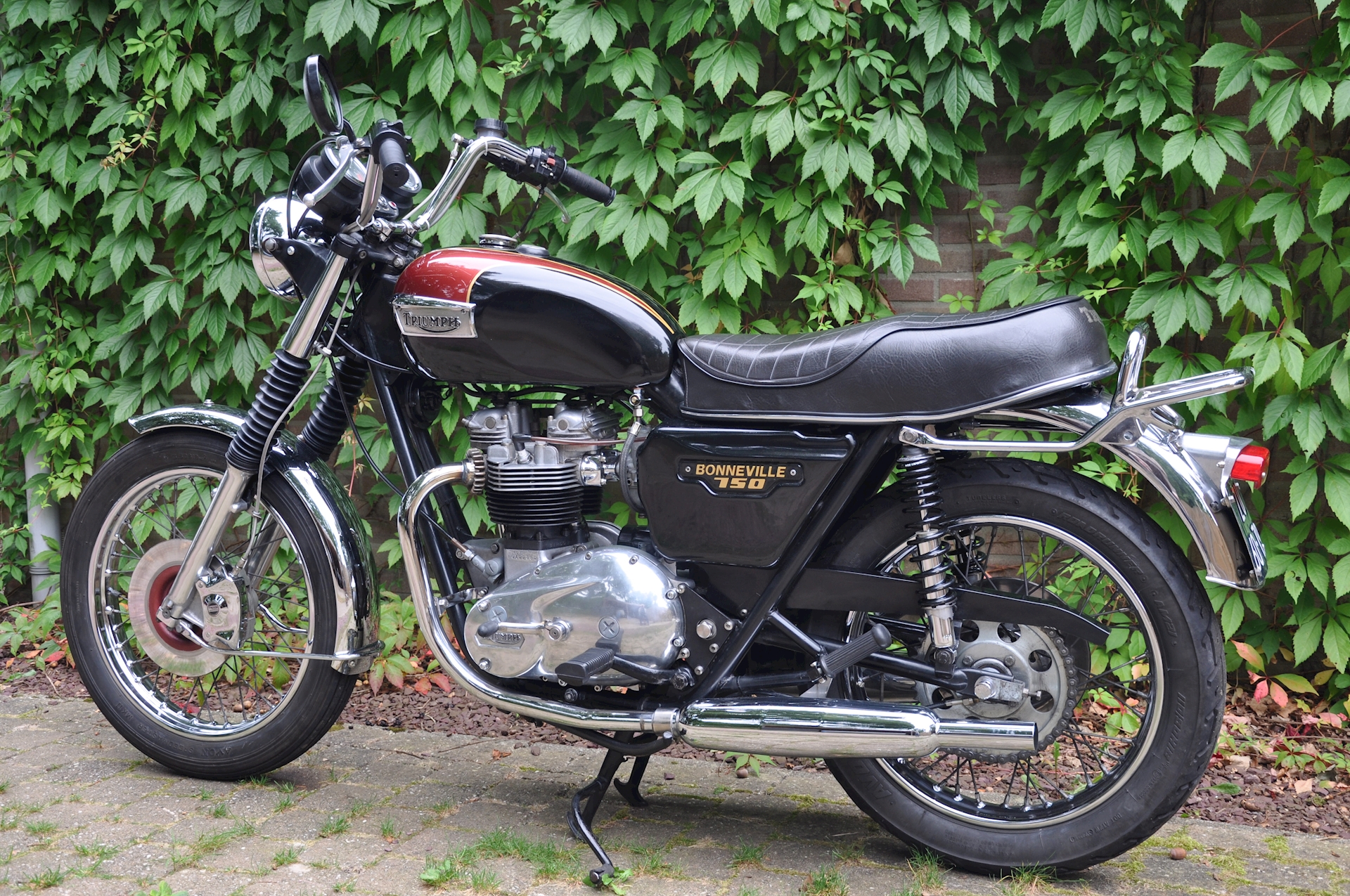 Triumph Bonneville 750 1980 - 04.jpg