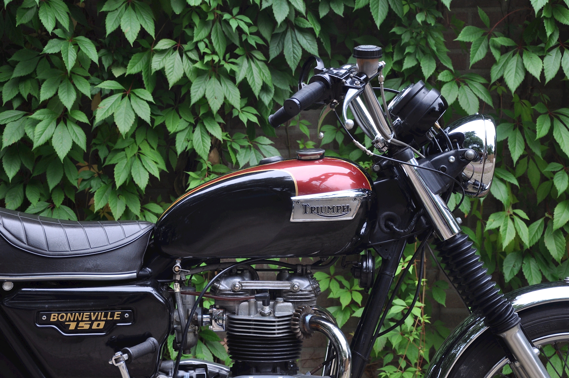 Triumph Bonneville 750 1980 - 07.jpg