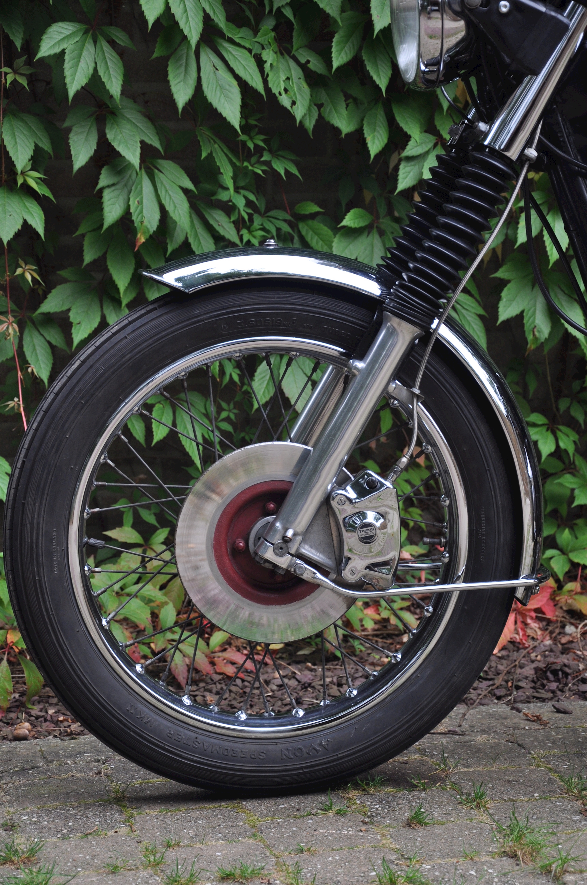 Triumph Bonneville 750 1980 - 12.jpg