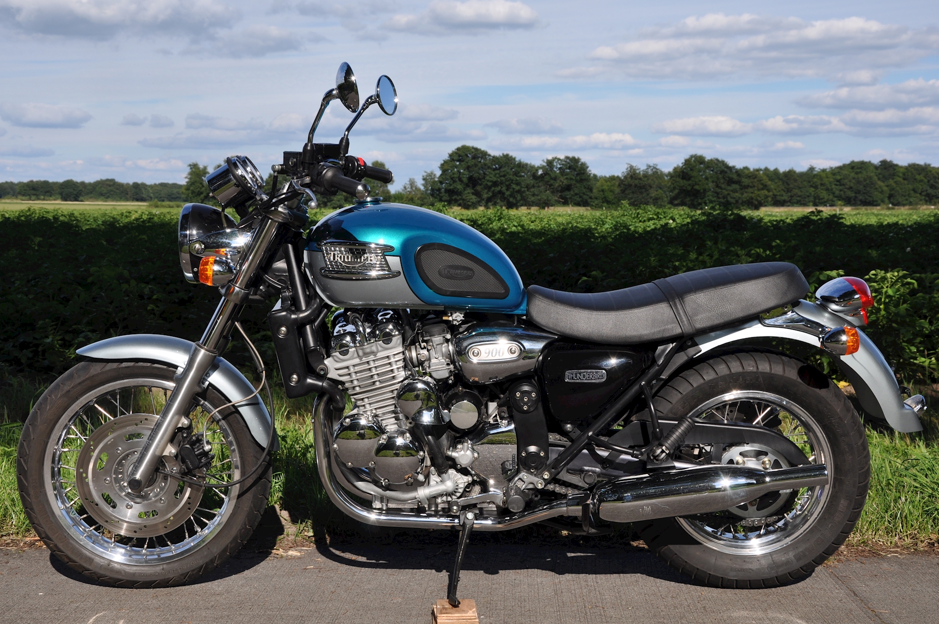 Triumph Thunderbird 900 1999 - 01.jpg