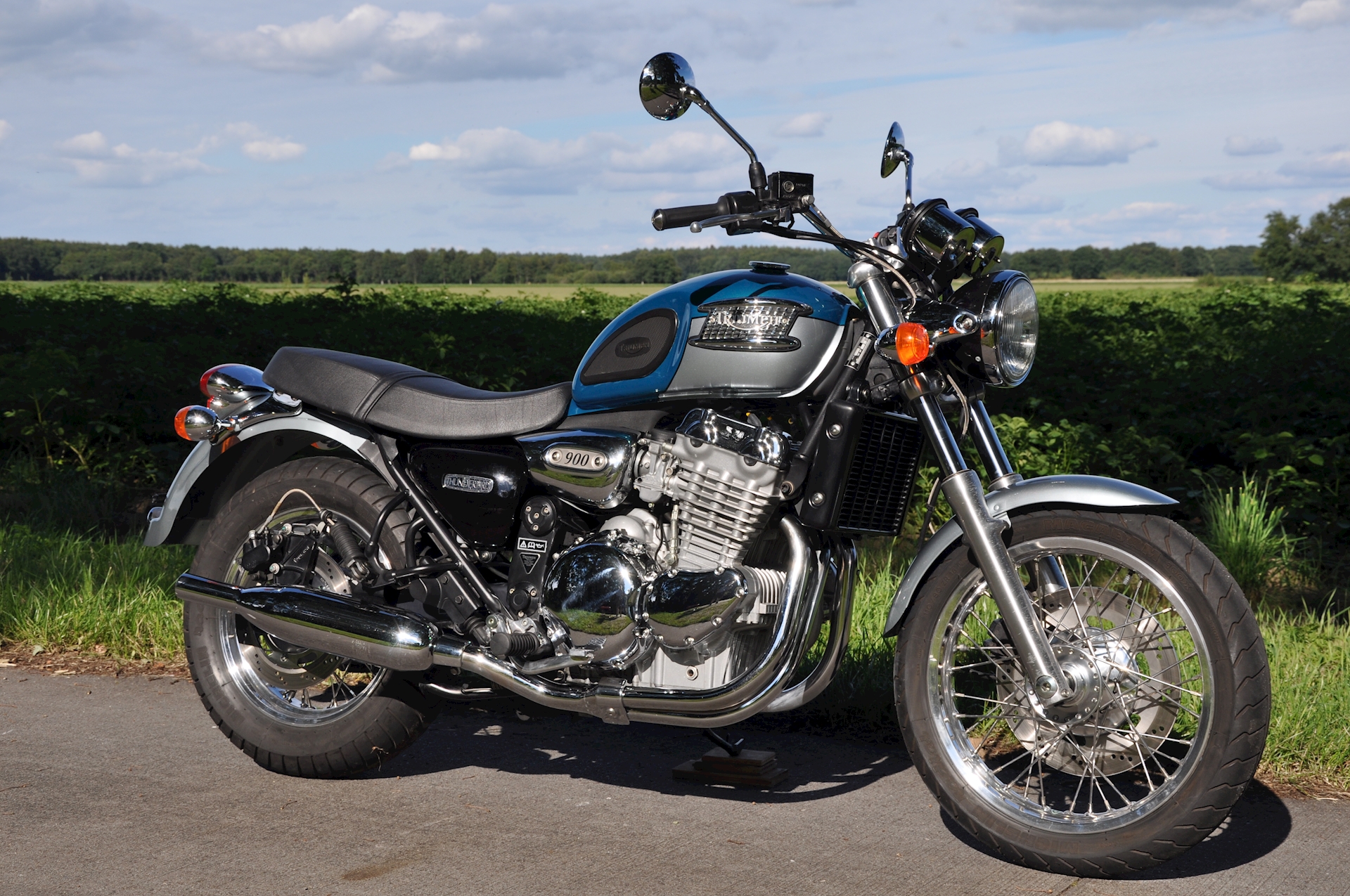 Triumph Thunderbird 900 1999 - 05.jpg
