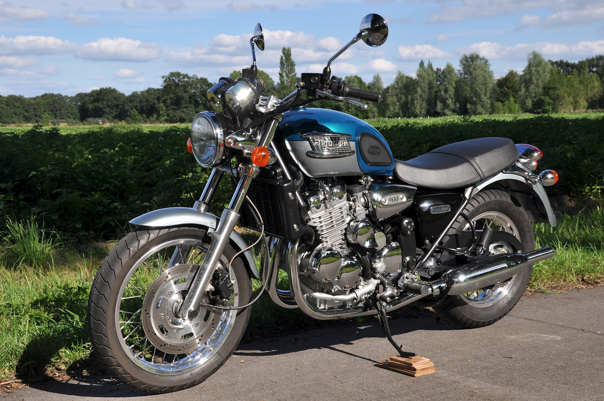 Triumph Thunderbird 900 1999 - 06.jpg