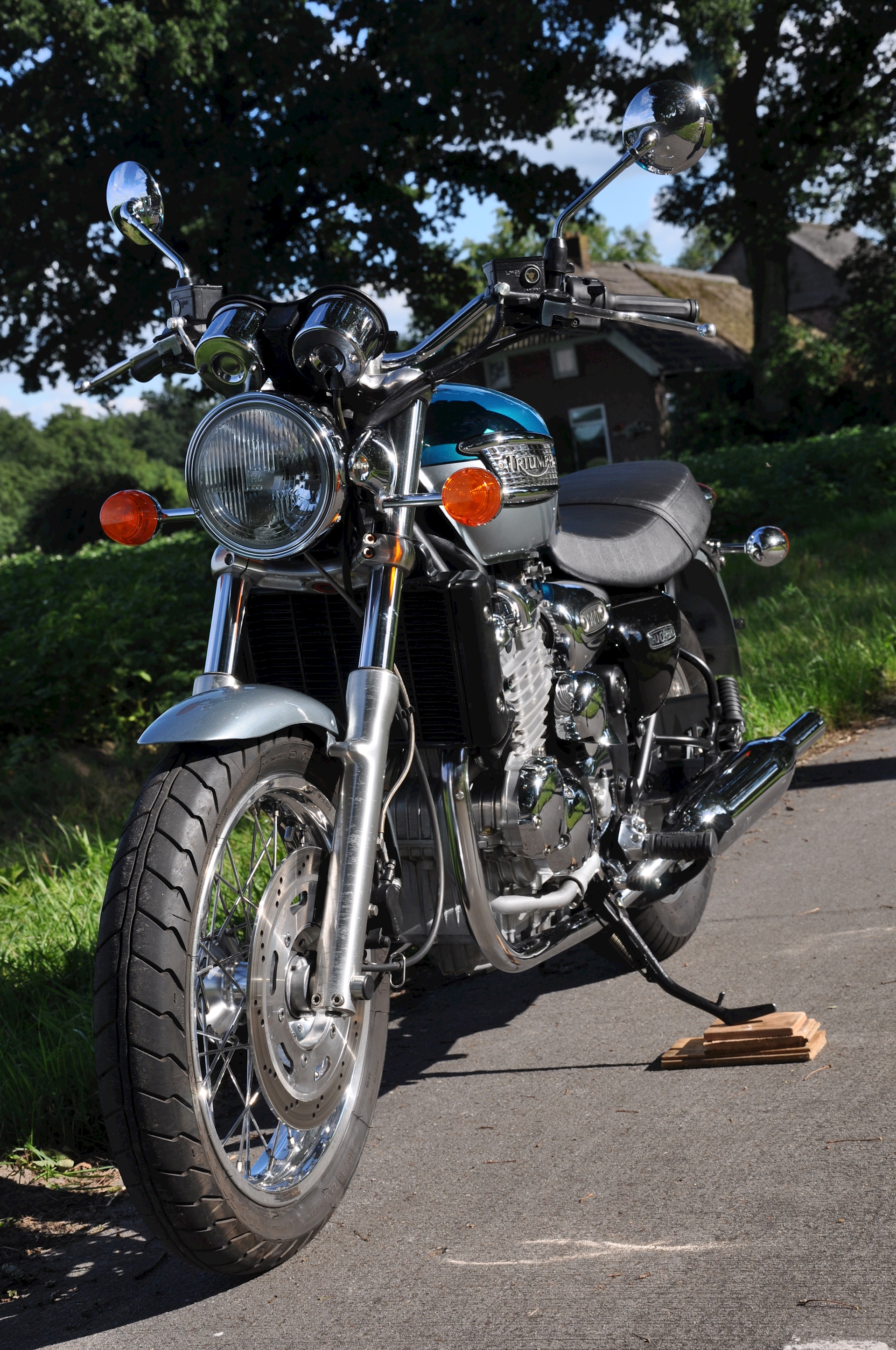 Triumph Thunderbird 900 1999 - 07.jpg