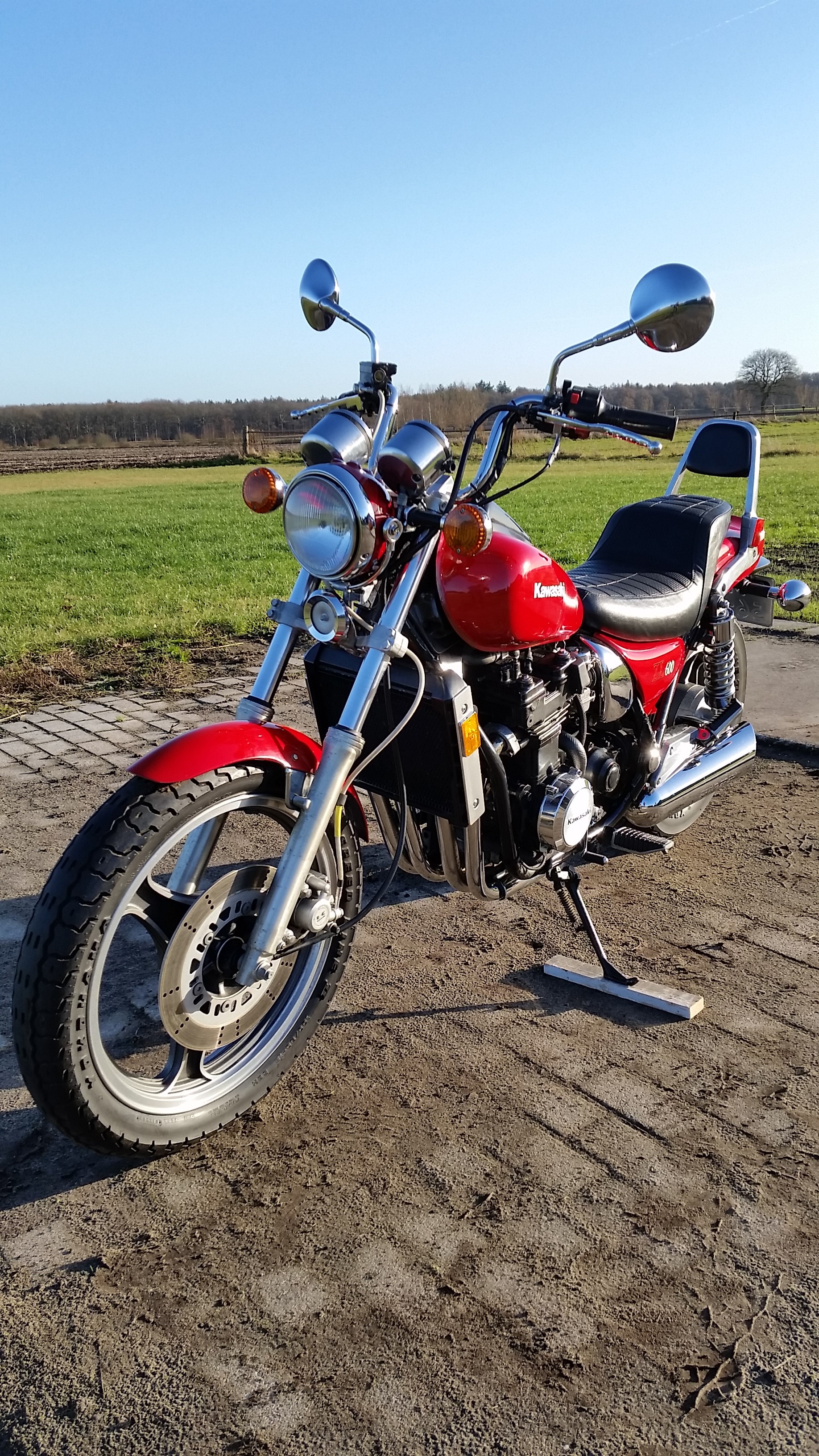 Kawasaki ZL600 1986 - 07.jpg