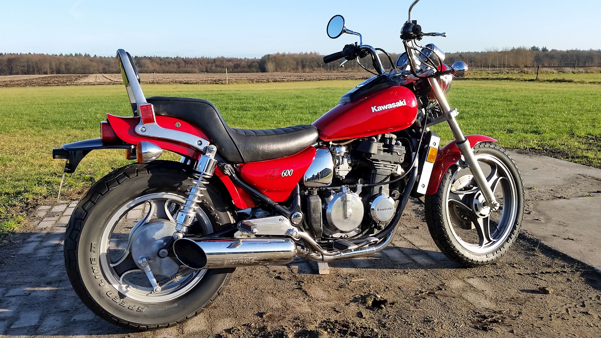 Kawasaki ZL600 1986 - 12.jpg