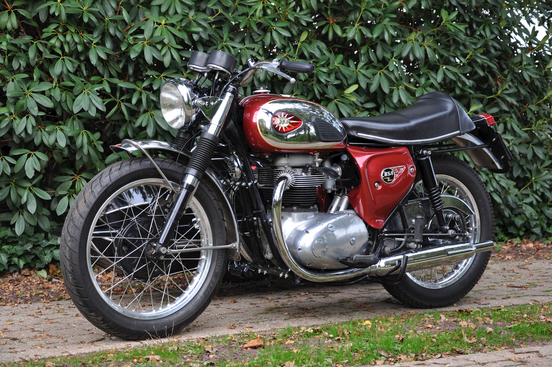BSA A65 met Steib S350 - 03.jpg