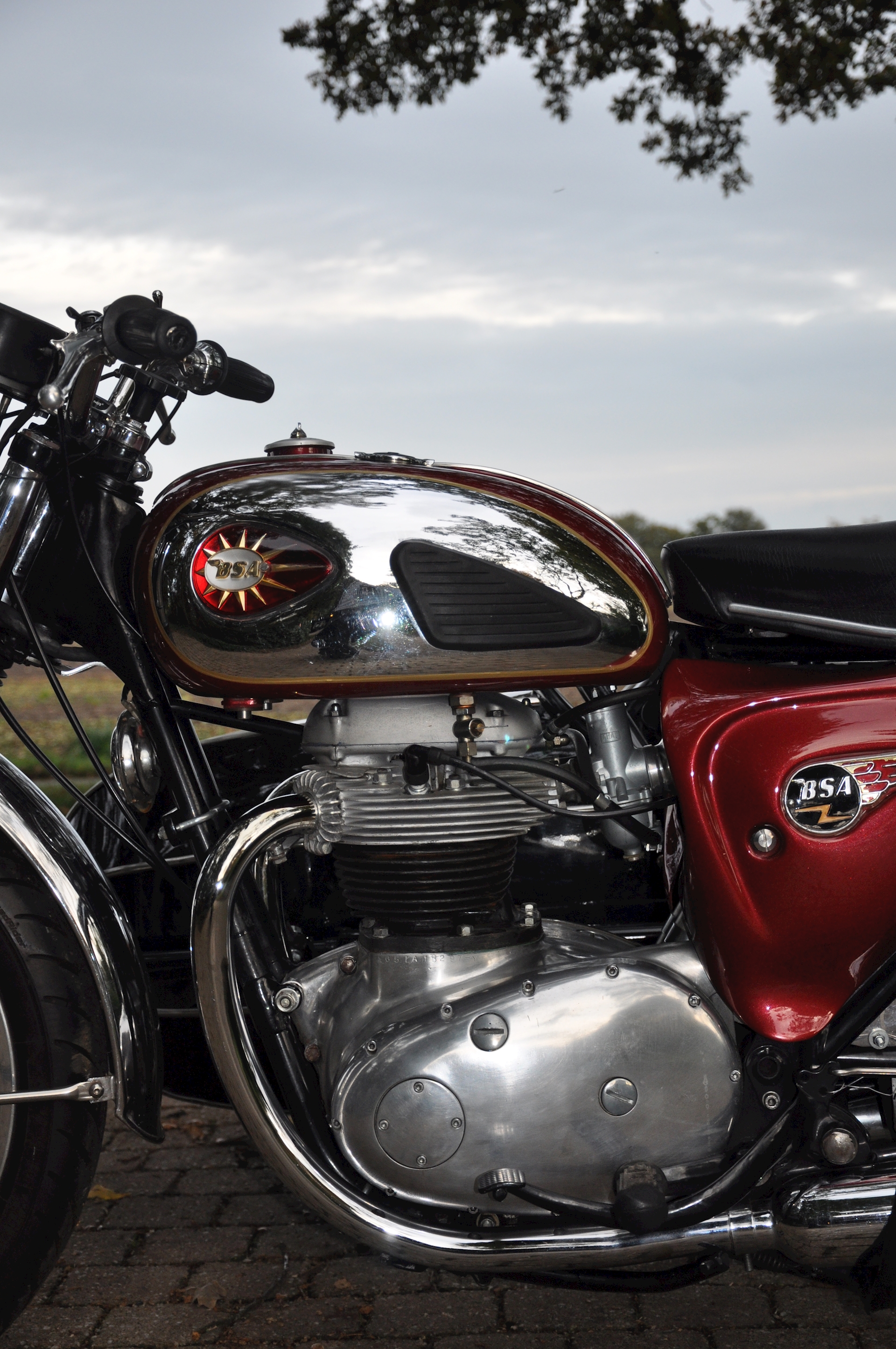 BSA A65 met Steib S350 - 05.jpg