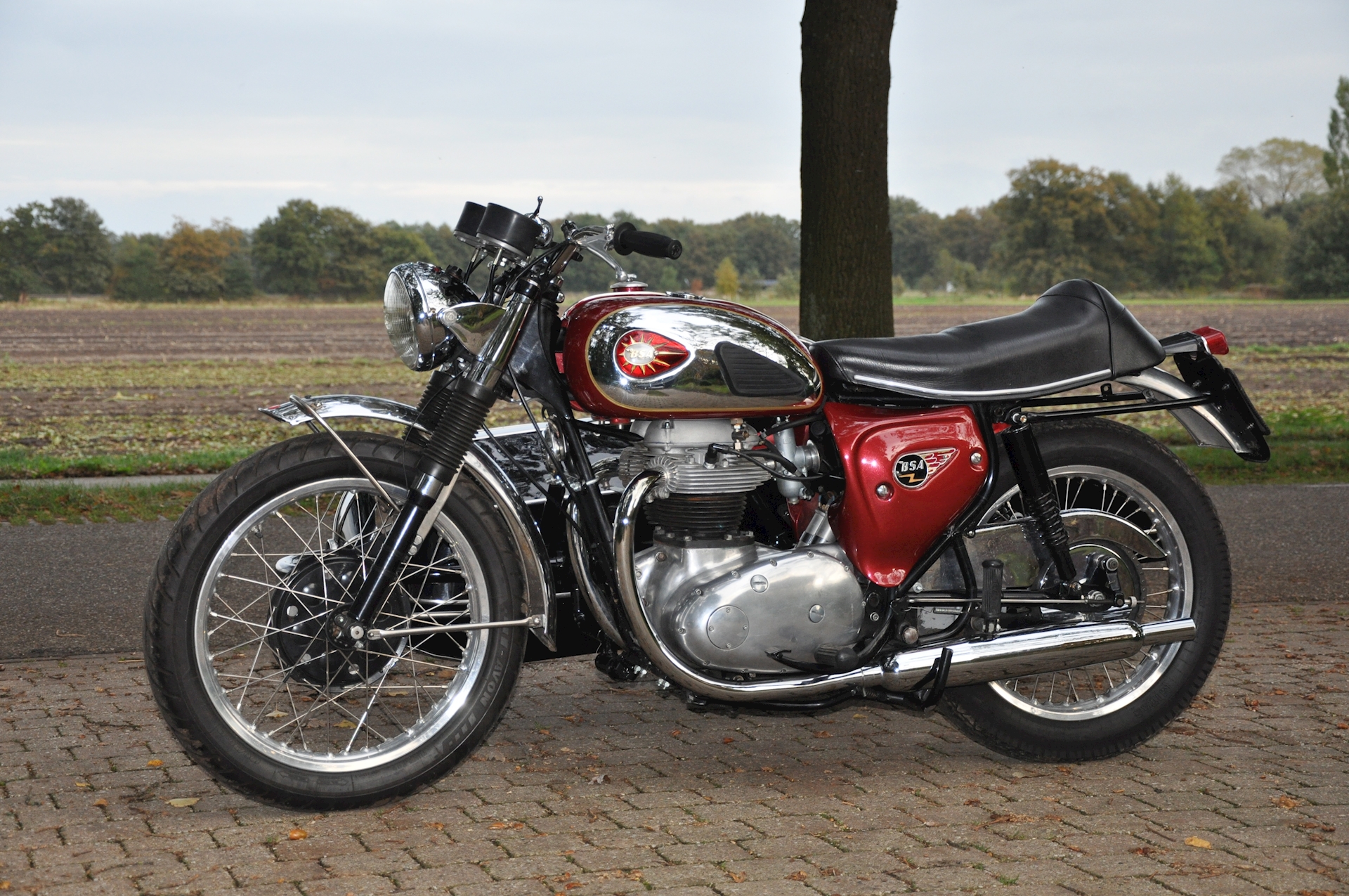BSA A65 met Steib S350 - 09.jpg