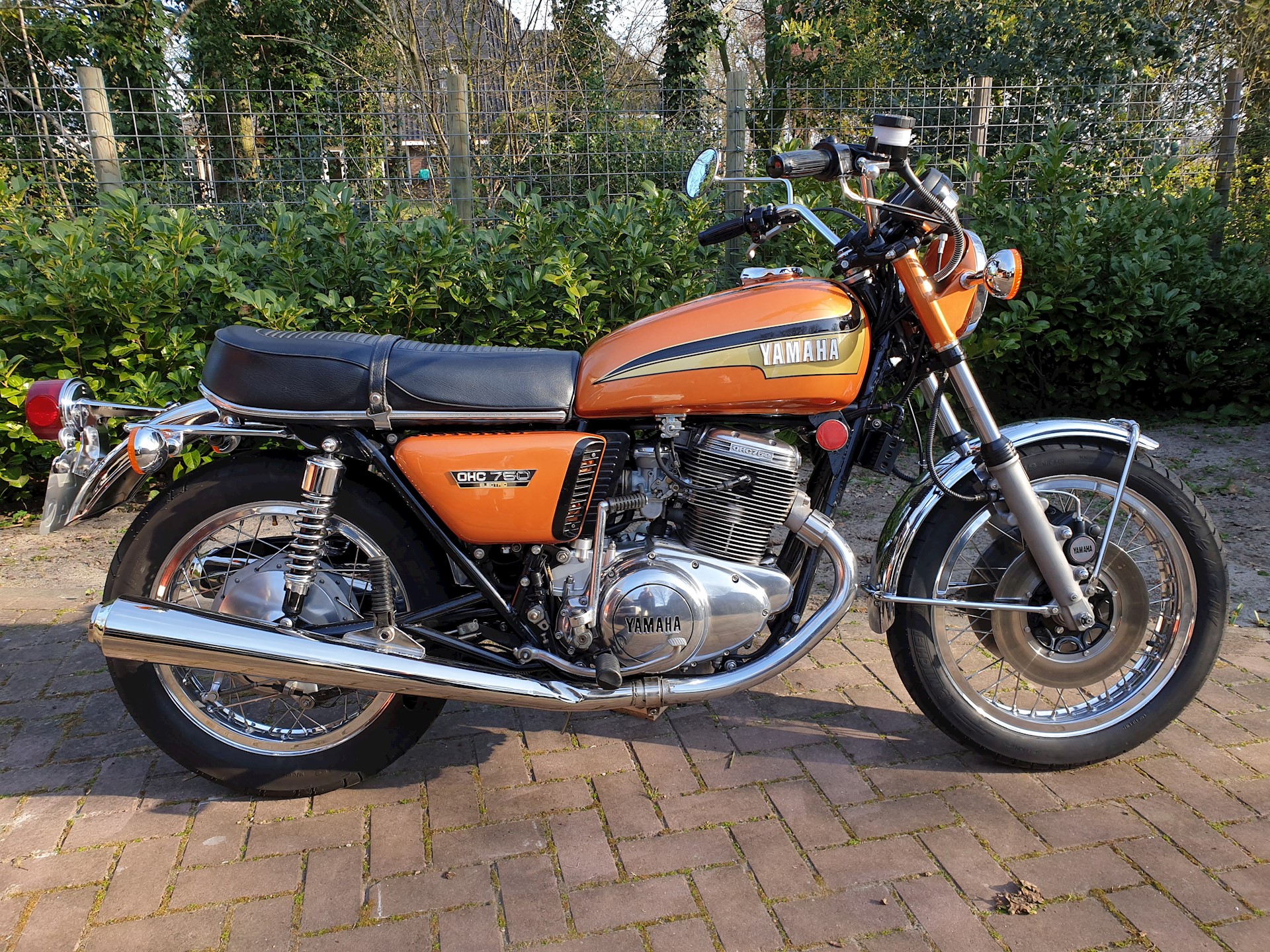 TX750 oranje -02.jpg