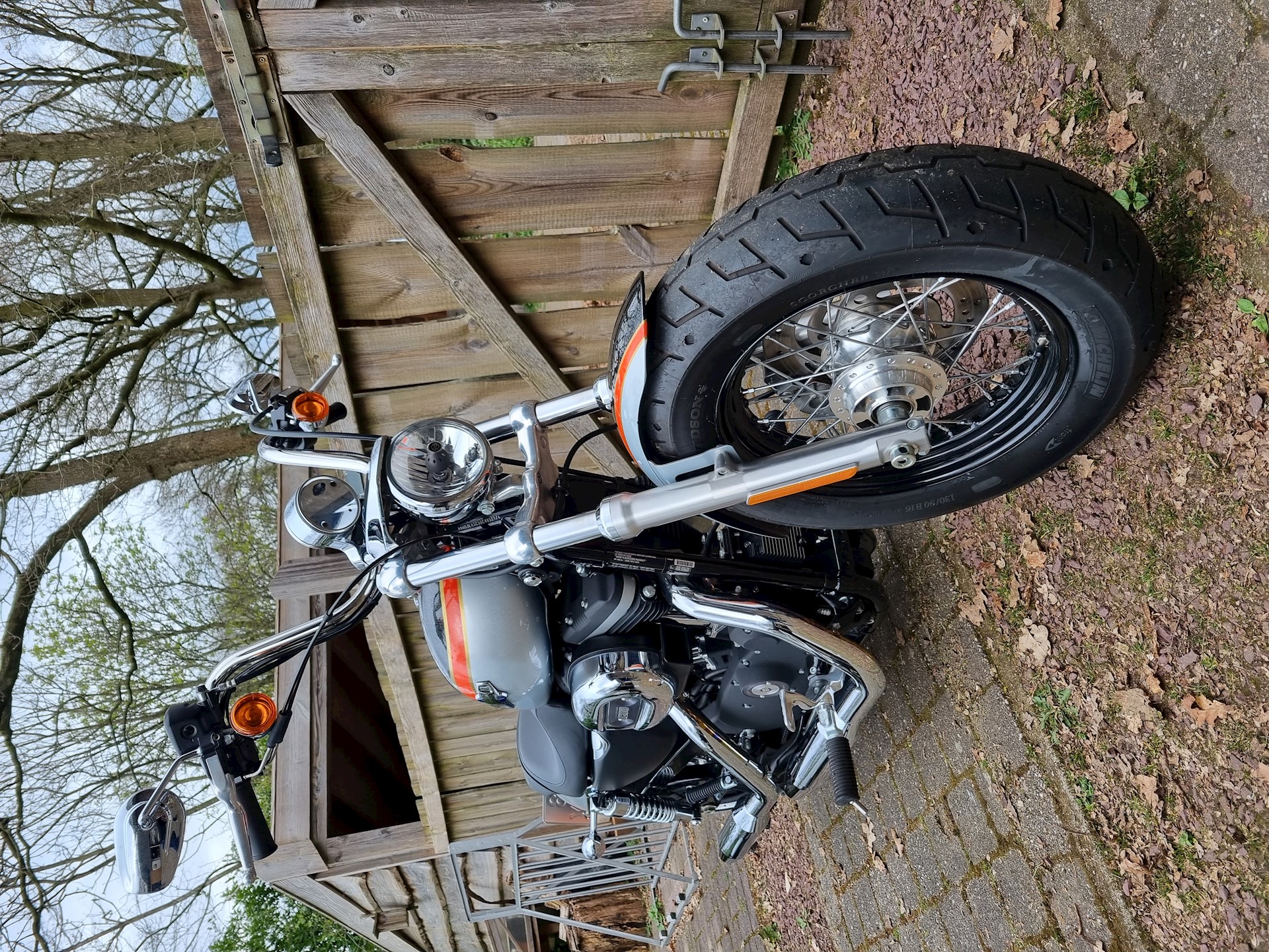 HD XL1200C Limited Edition 05